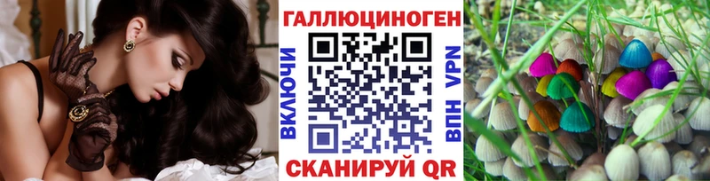 hydra ONION  даркнет сайт  Навашино  Галлюциногенные грибы Magic Shrooms 