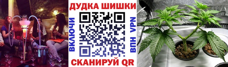 Бошки марихуана план  Навашино 